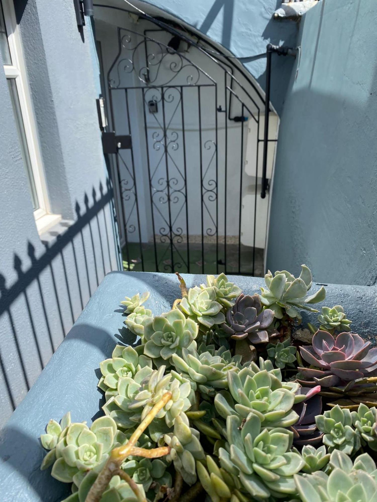 Kemptown Courtyard Apartment Brighton Luaran gambar